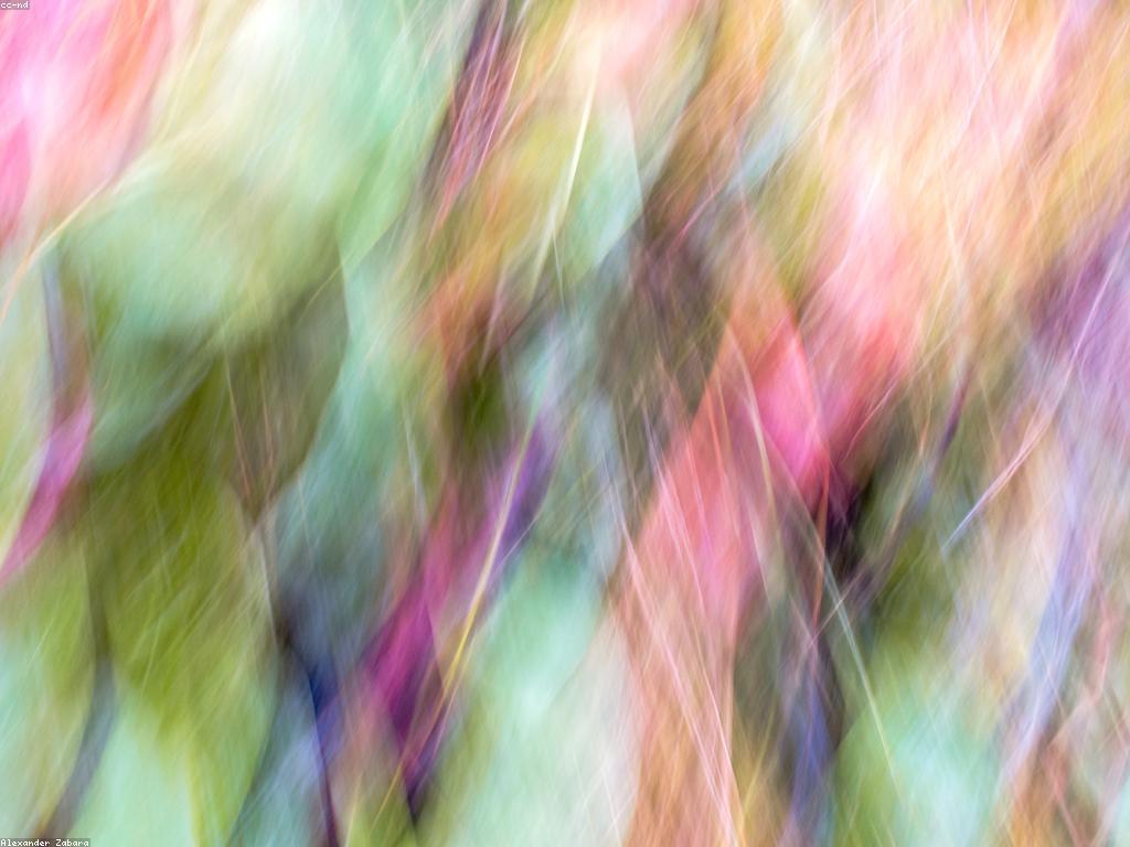 ការយល់ដឹងថ្មីៗពីព័ត៍មាន