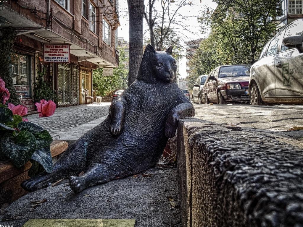 យុទ្ធសាស្ត្រការវិនិយោគសម្រាប់អ្នកថ្មី